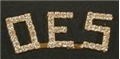 OES Rhinestone Pin Gold Plate