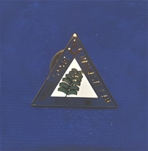 Perpetual Pin