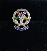 Eastern Star Past Patron Lapel Button in 10K White Gold with colored enamel