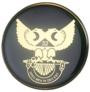 Scottish Rite Wings UP auto emblem
