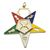 OES Officer Jewels Enameled - Set of 18