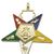 Order of the Eastern Star Organist Musician officer jewel with enameled gold-tone finish