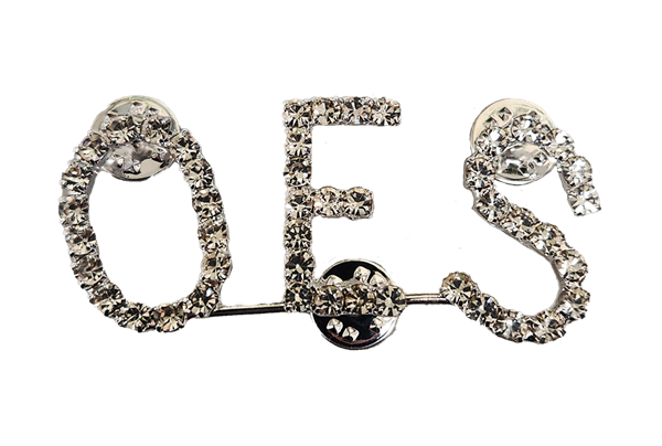 OES Rhinestone Pin